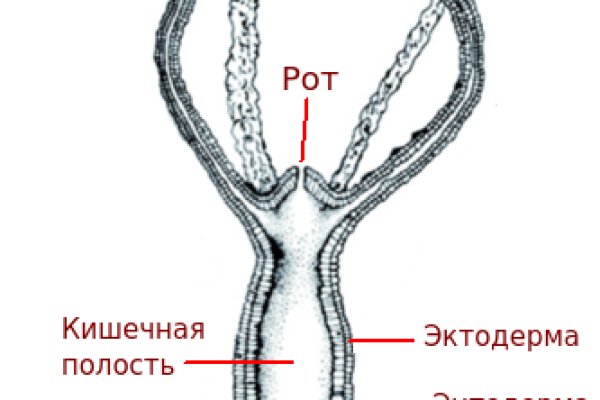 Ссылка кракен через тор